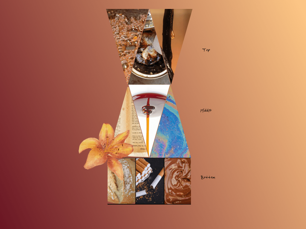Candied Rot - eau de Parfume, gourmand - Musetrix Parfume