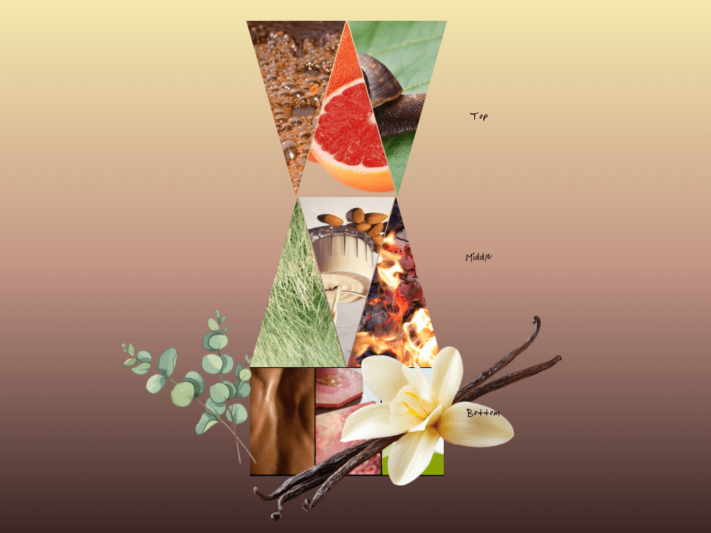 Shuga Hex - eau de parfum, niche indie fragrance - Musetrix Parfume